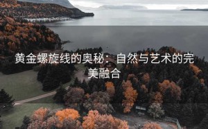 黄金螺旋线的奥秘：自然与艺术的完美融合