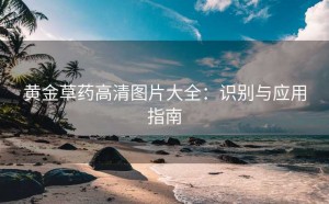 黄金草药高清图片大全：识别与应用指南