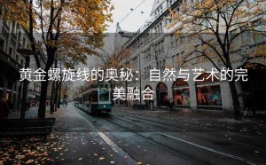 黄金螺旋线的奥秘：自然与艺术的完美融合
