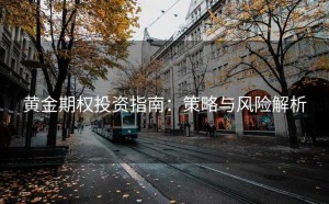 黄金期权投资指南：策略与风险解析