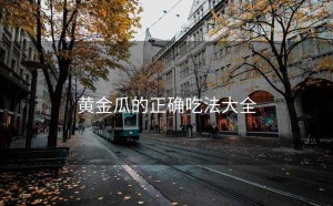 黄金瓜的正确吃法大全