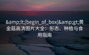 &lt;|begin_of_box|&gt;黄金菇高清图片大全：形态、种植与食用指南