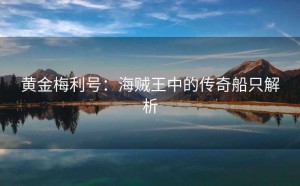 黄金梅利号：海贼王中的传奇船只解析