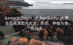 <|begin_of_box|>黄金菇高清图片大全：形态、种植与食用指南