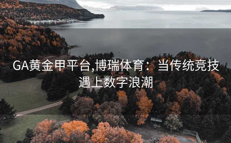 GA黄金甲平台,博瑞体育：当传统竞技遇上数字浪潮