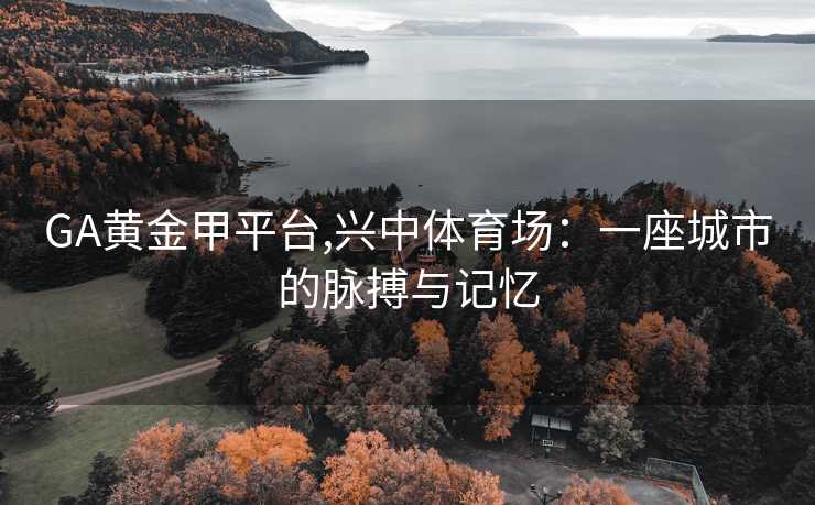 GA黄金甲平台,兴中体育场：一座城市的脉搏与记忆