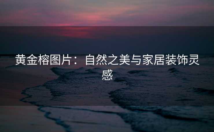 黄金榕图片：自然之美与家居装饰灵感