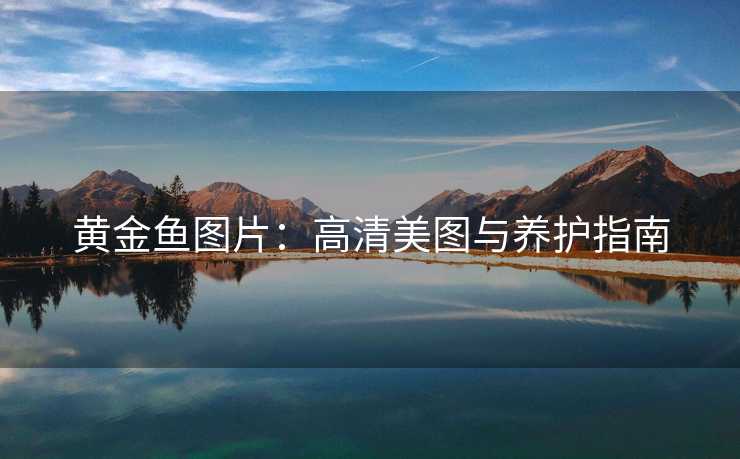 黄金鱼图片:高清美图与养护指南 黄金鱼图片:高清美图与养护指南