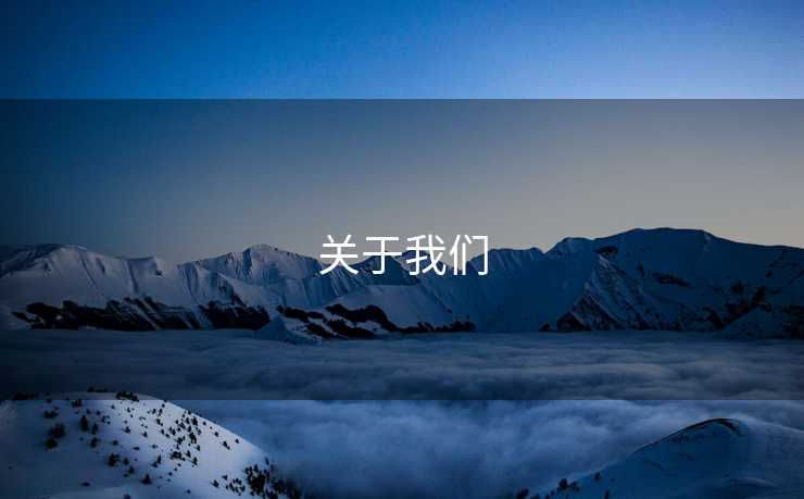 关于我们