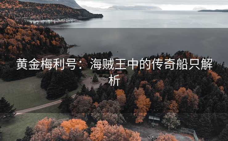 黄金梅利号：海贼王中的传奇船只解析