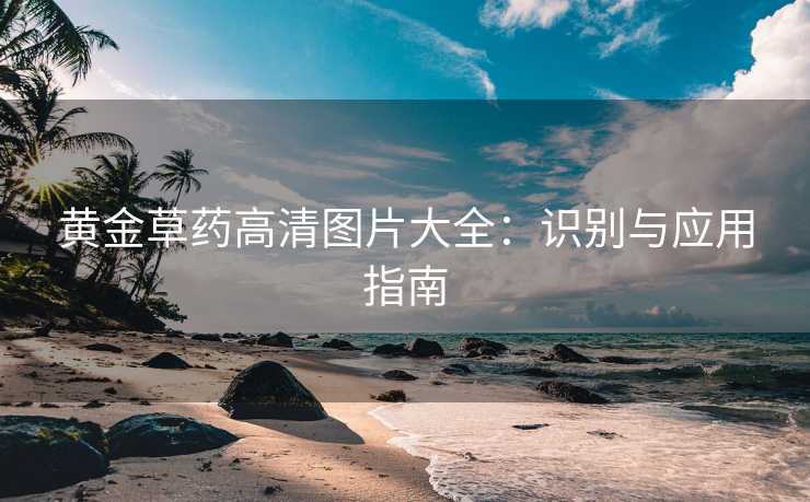 黄金草药高清图片大全：识别与应用指南
