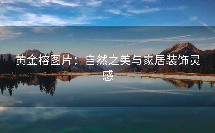 黄金榕图片：自然之美与家居装饰灵感